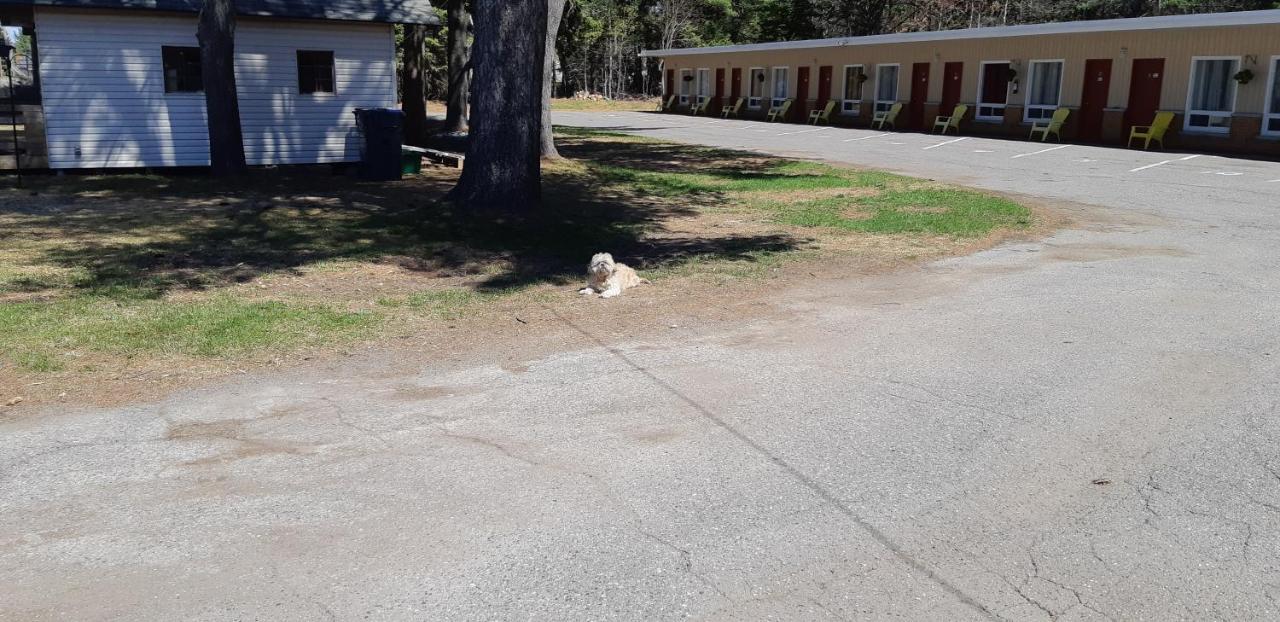 Pine Grove Motel Sault Ste. Marie Zewnętrze zdjęcie